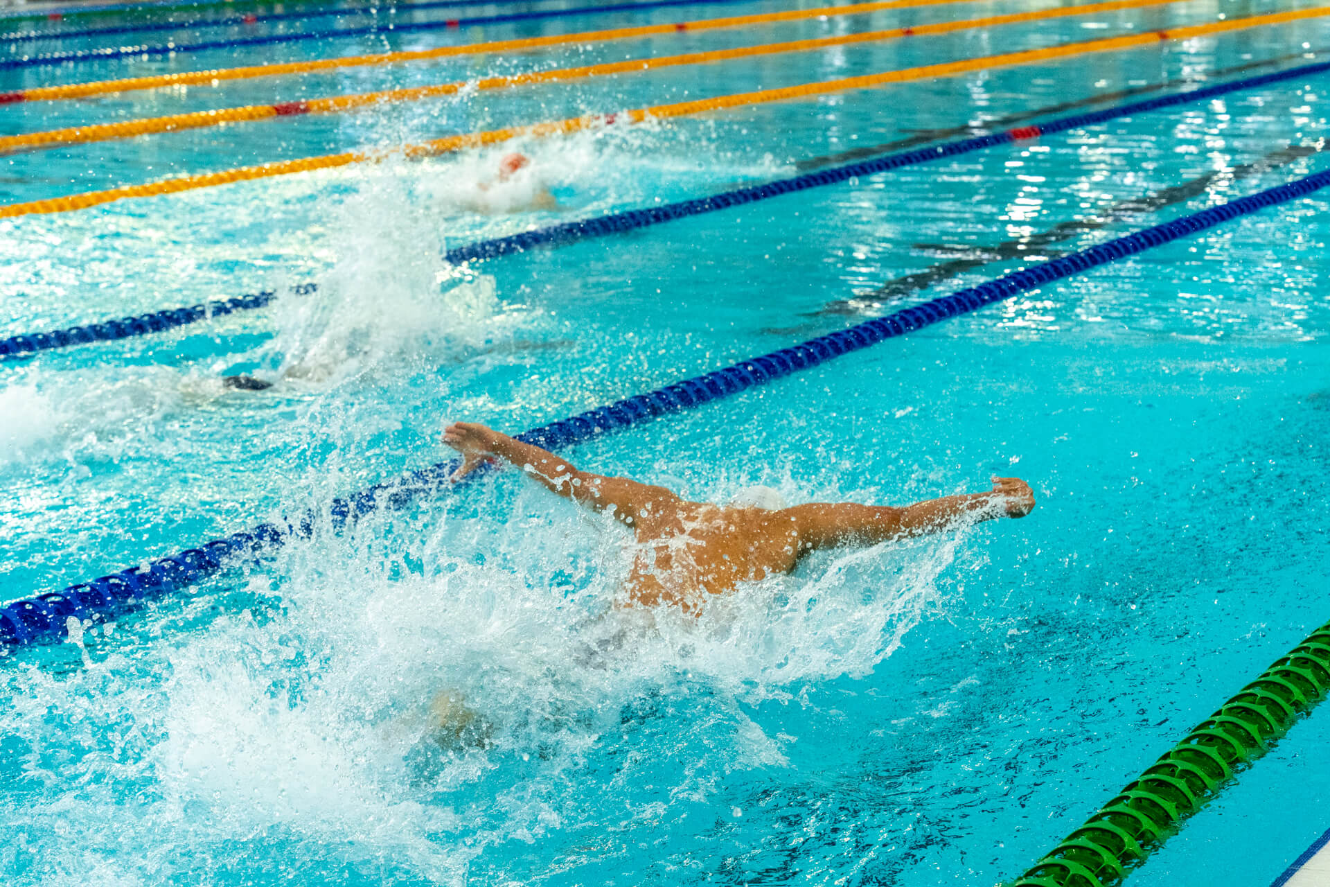 GGS swimmers competing in a race at the school swimming carnival